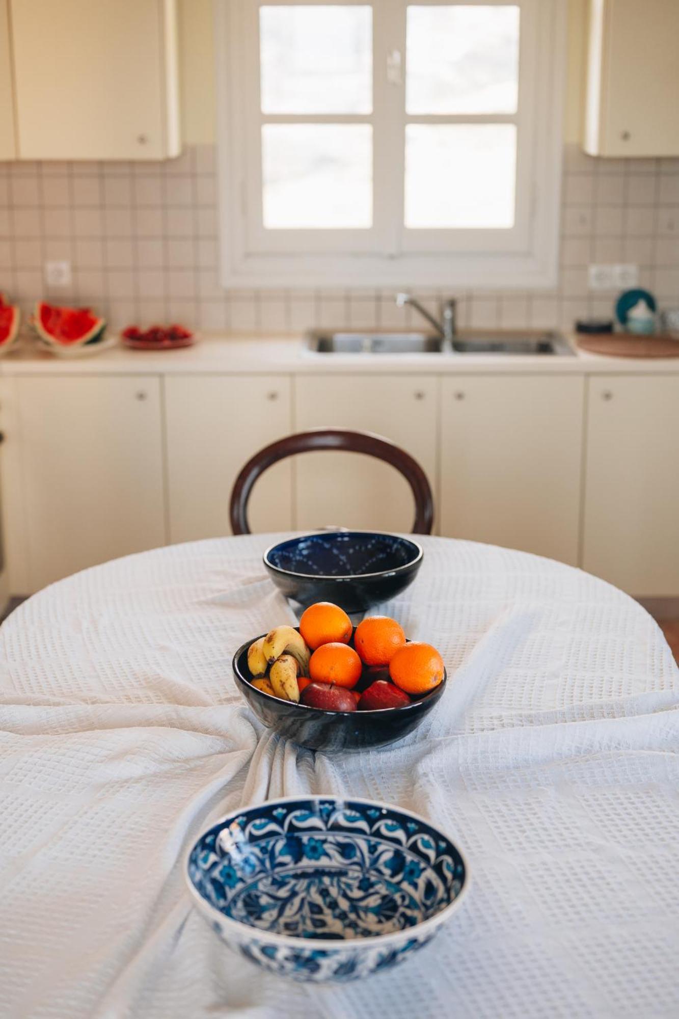Villa Il Paradiso Andros Gavrio Extérieur photo